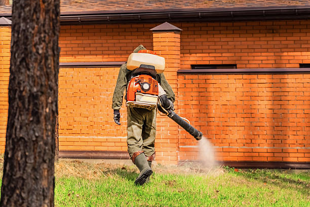 Trusted Emergency Pest Control service in Johnson City, NY - Nex Pest Control